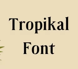 Tropikal Font Free Download