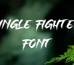 Single Fighter Font Free Download