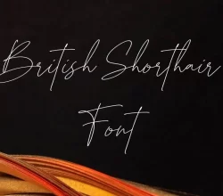 British Shorthair Font Free Download