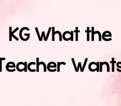 KG What The Teacher Wants Font Free Download 