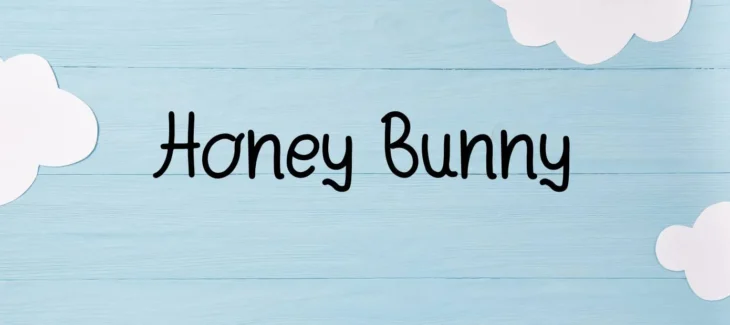 Honey Bunny Font Free Download
